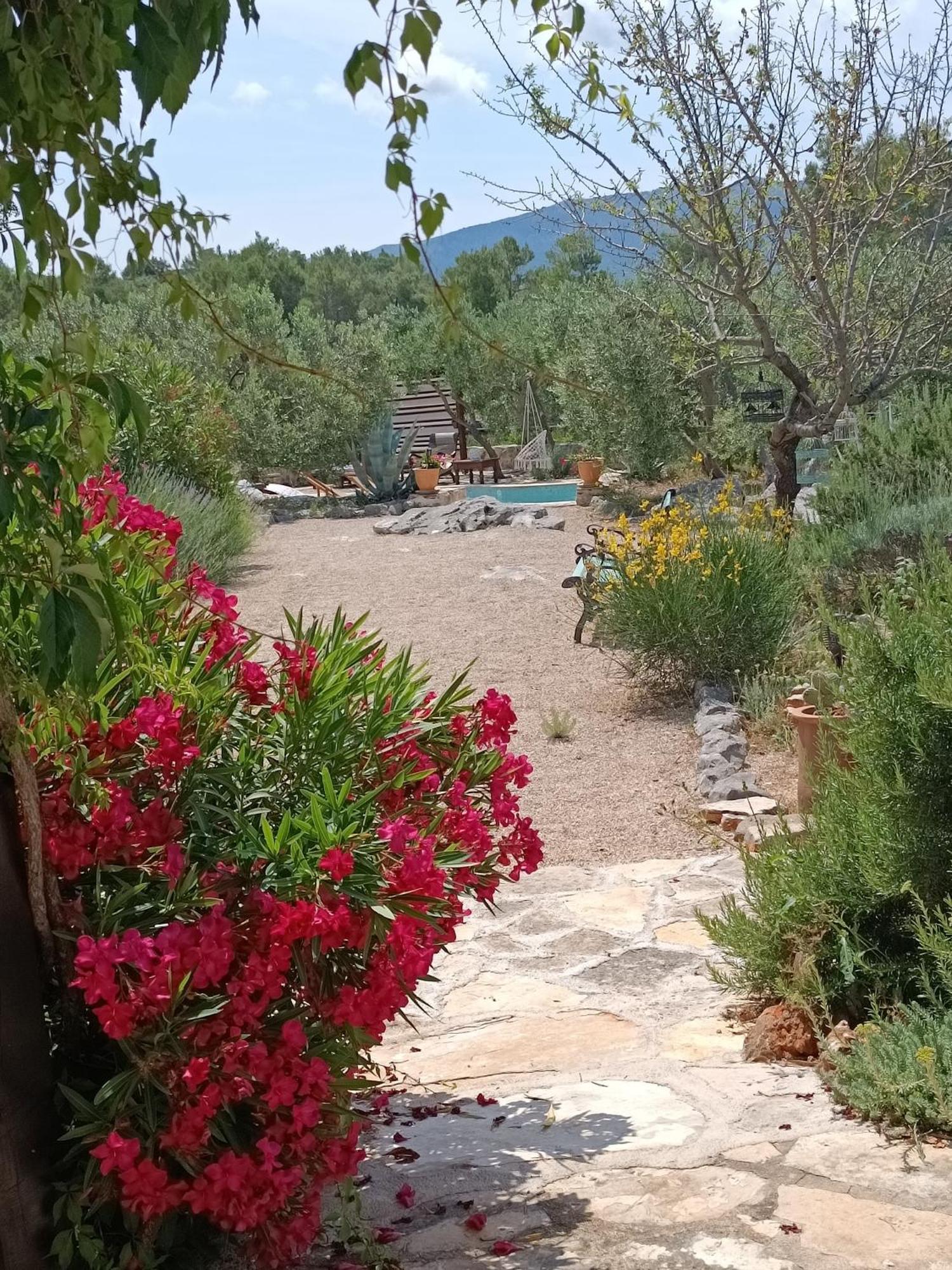 Ferienhaus Spacious House With Private Pool In Stari Grad (Hvar)